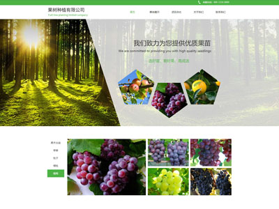綠色環(huán)保-果樹種植基地網(wǎng)站建設案例